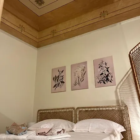 Campus Apartamento